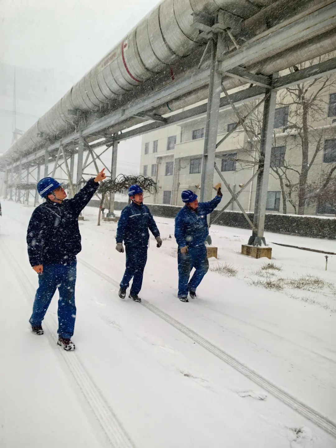 威廉希尔全力迎战大雪来袭 多措并举保障供应